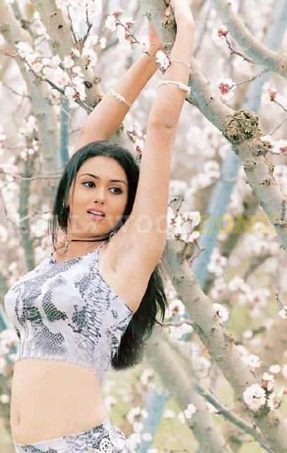 Namitha Sexy Image Gallery 10