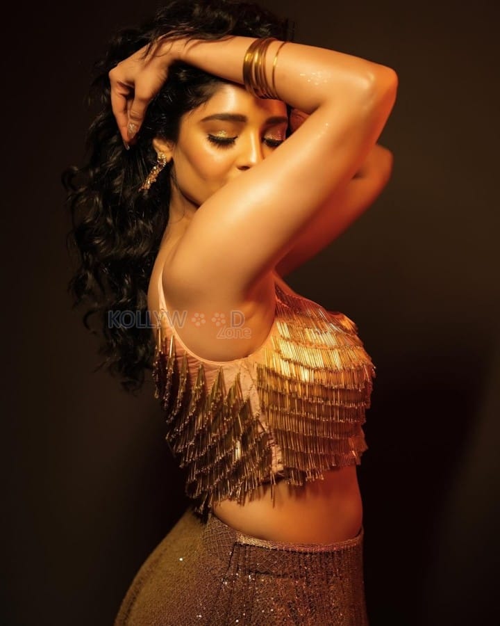 Sexy Ritika Singh in a Golden Metallic Crop Top Pictures 01