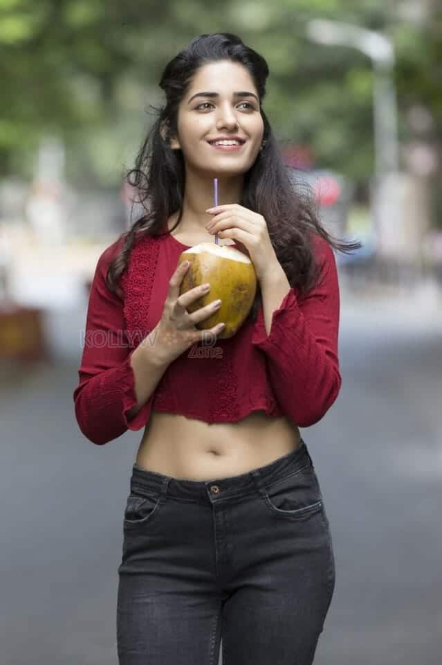 Sexy Ruhani Sharma Showing Navel Photos 03