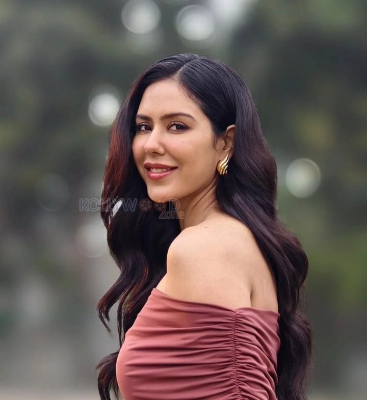 Sexy Sonam Bajwa in a Brown Off Shoulder Bodycon Dress Pictures 01