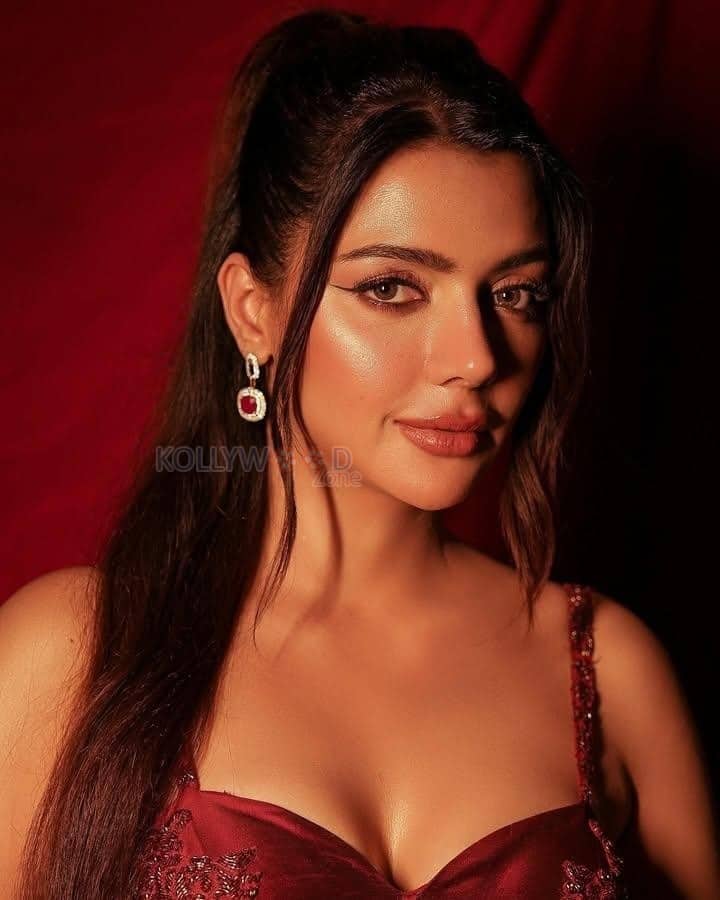 Sophisticated Ruhi Singh in a Maroon Corset Blouse with a Draped Skirt at Zee Cine Awards Photos 03