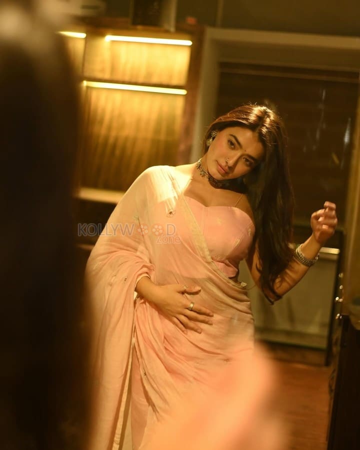 Stunning Ketika Sharma in a Blush Pink Saree Photos 06