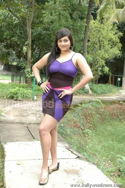 Tamil Actress Namitha Hot Pictures 25