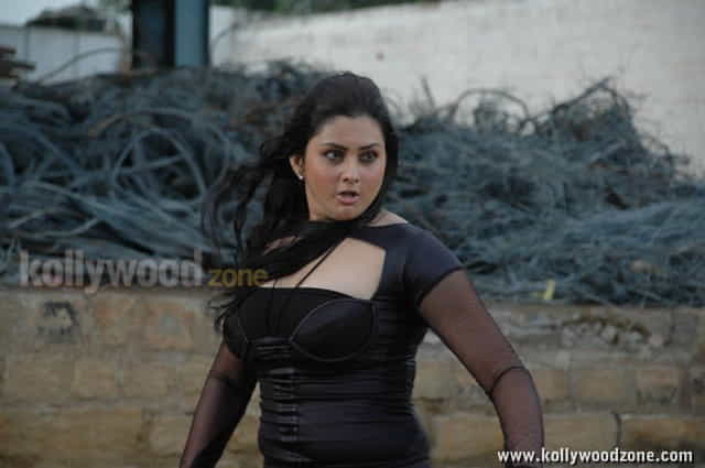 Tamil Actress Namitha Hot Pictures 28