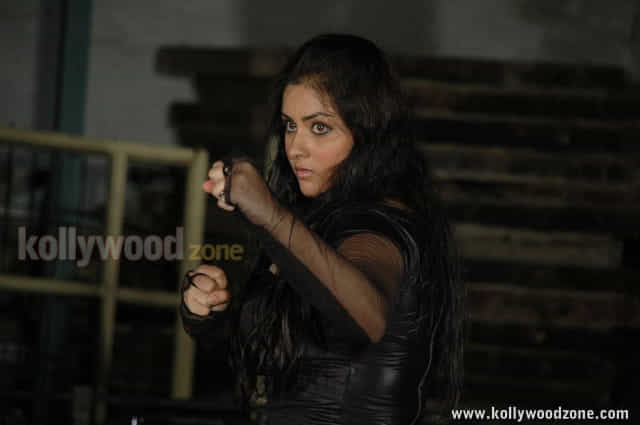 Tamil Actress Namitha Hot Pictures 45