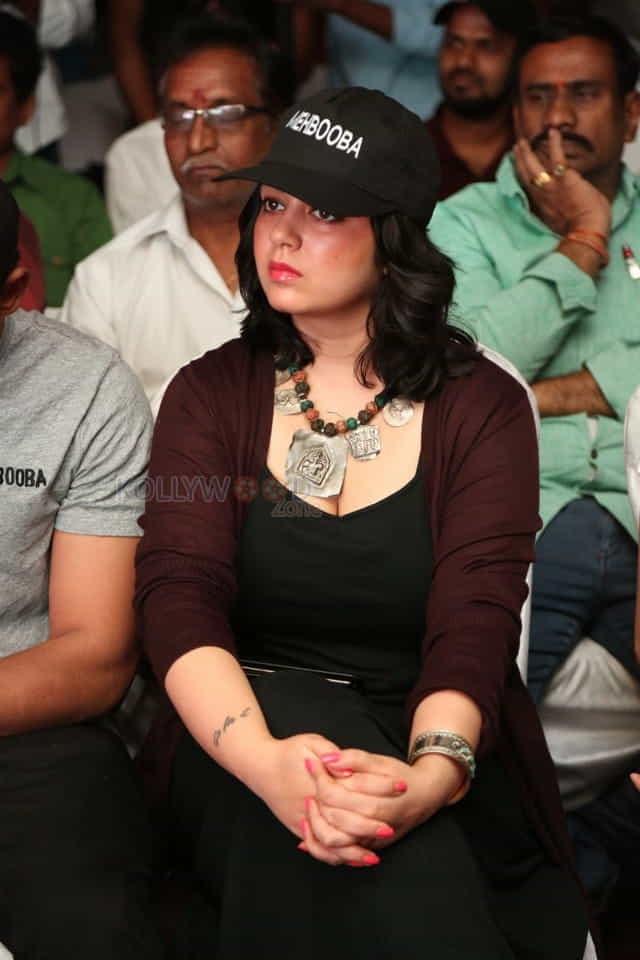 Actress Charmi At Mehbooba Movie Press Meet Photos 06
