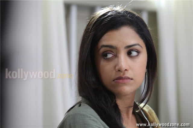 Mallu Actress Mamta Mohandas Pictures 11