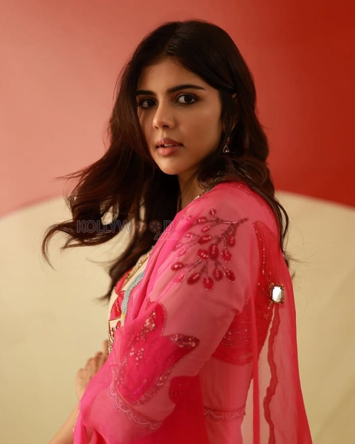 Odum Kuthira Chaadum Kuthira Heroine Kalyani Priyadarshan in a Pink Saree Photos 01