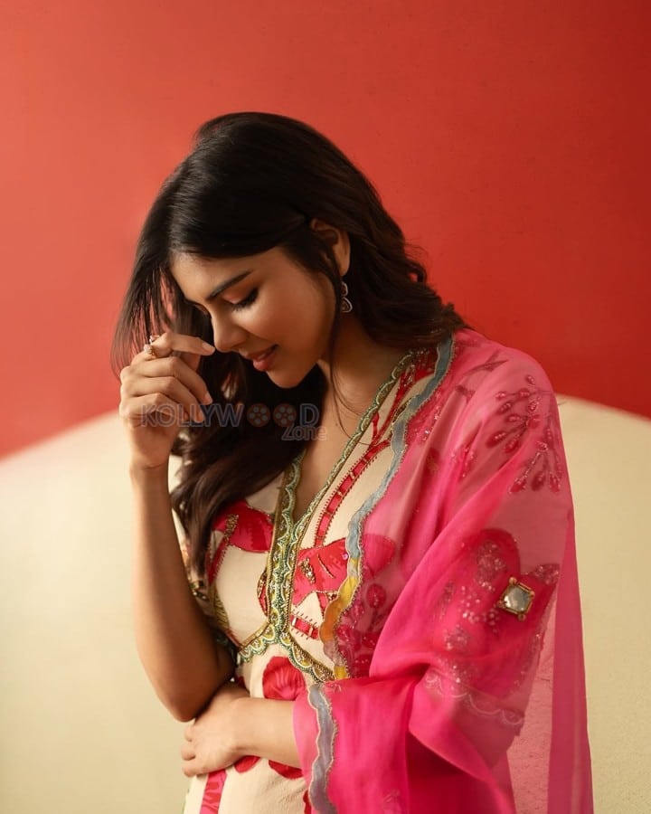Odum Kuthira Chaadum Kuthira Heroine Kalyani Priyadarshan in a Pink Saree Photos 04