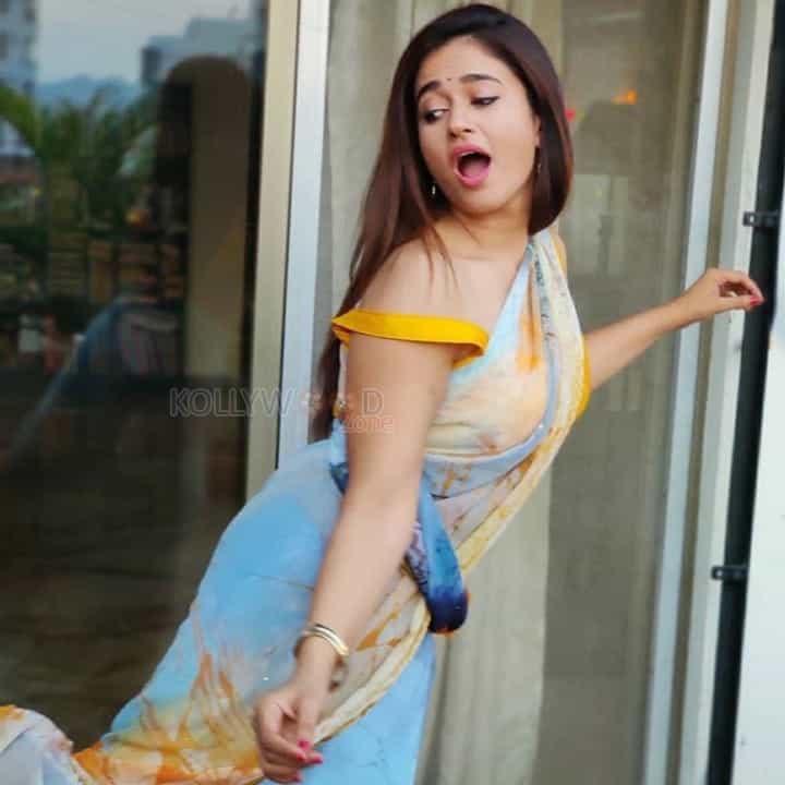 Actress Poonam Bajwa In Saree Photos 01