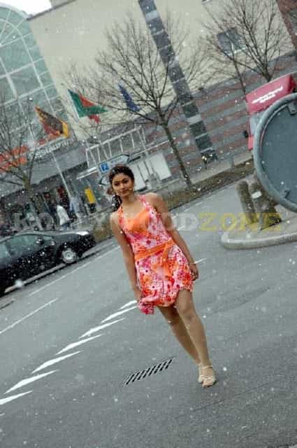 Cute Poonam Bajwa Stills 08