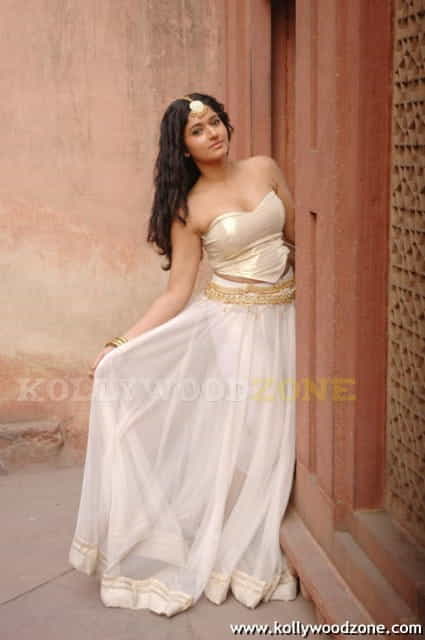 Poonam Bajwa Kacheri Aarambam Movie Pics 01