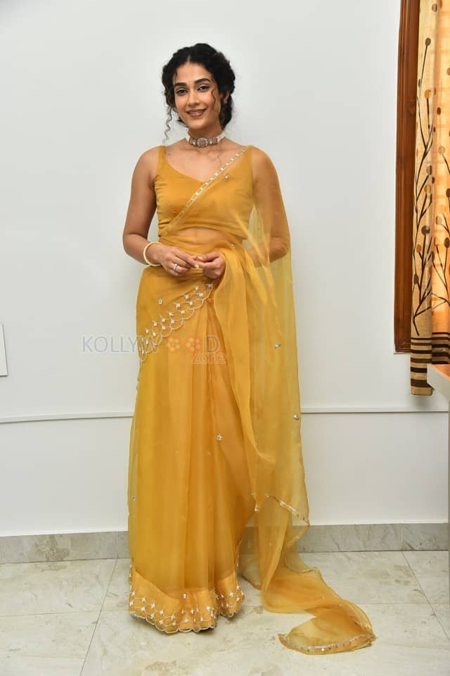 Actress Aakanksha Singh at Shashtipoorthi Movie Interview Pictures 02