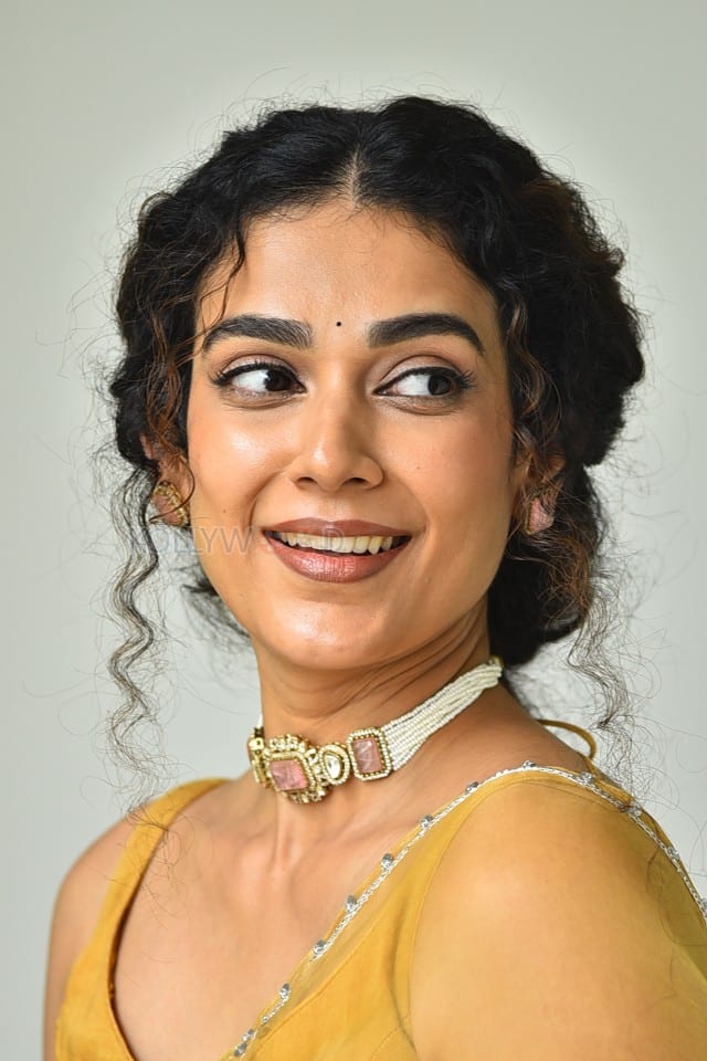 Actress Aakanksha Singh at Shashtipoorthi Movie Interview Pictures 36