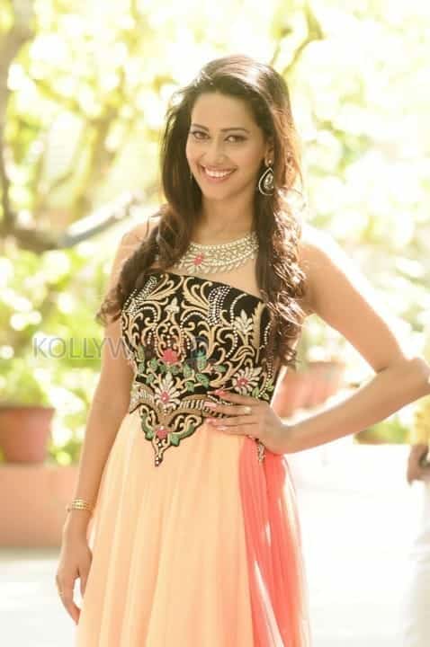 Actress Sanjana Singh New Stills 21 (162916) | Kollywood Zone