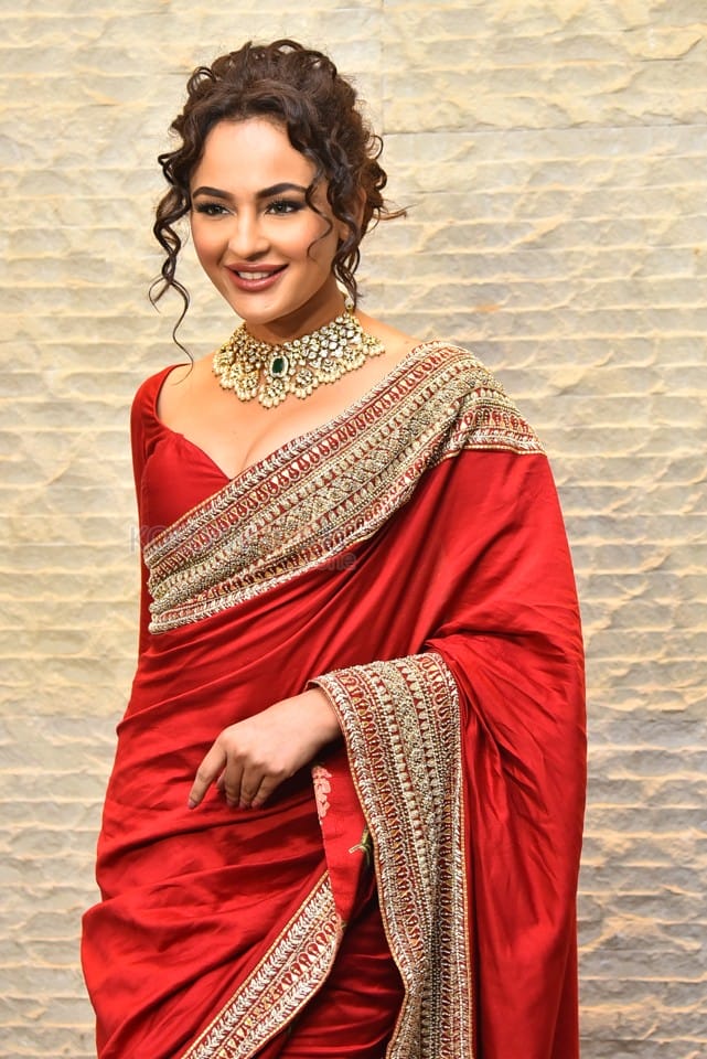 Actress Seerat Kapoor at Manamey Movie Pre Release Event Photos 62
