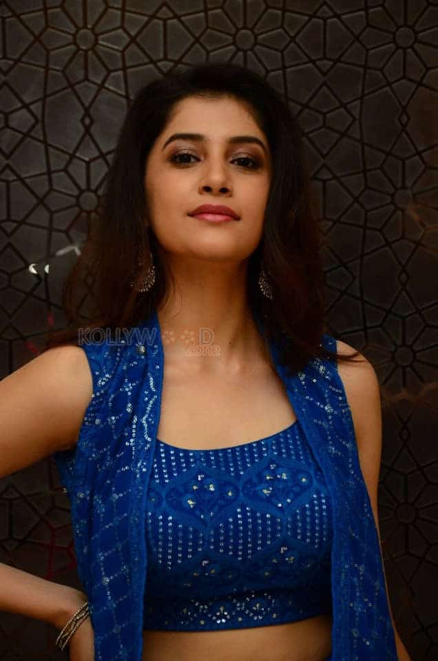 Actress Simran Sharma at Oka Chinna Family Story Webseries Pre Release Event Stills 20