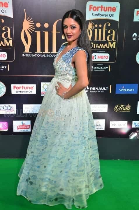 Actress Vimala Raman At Iifa Utsavam 2017 Pictures 13