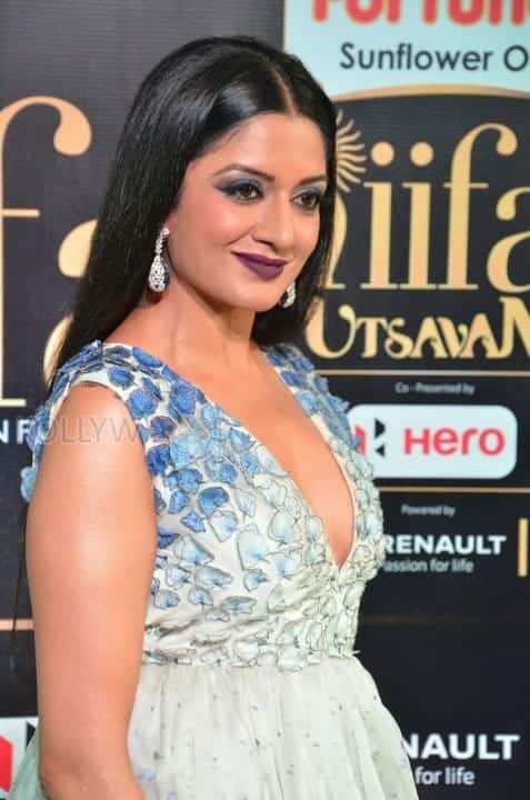 Actress Vimala Raman At Iifa Utsavam 2017 Pictures 17