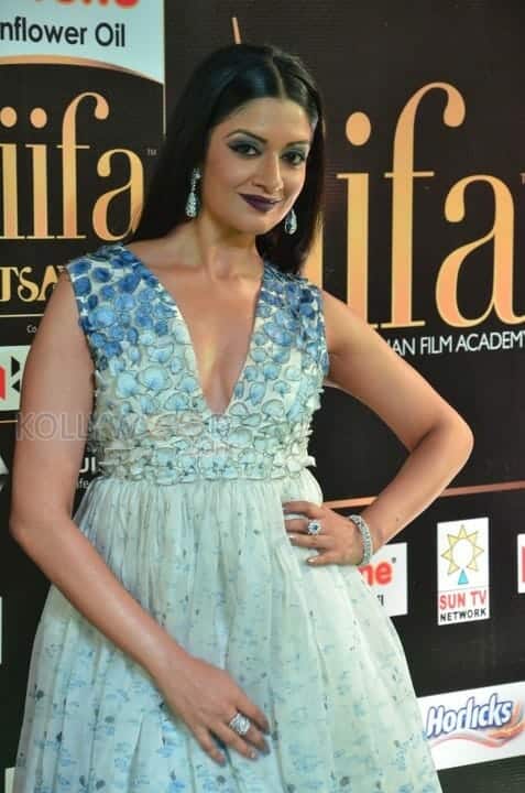 Actress Vimala Raman At Iifa Utsavam 2017 Pictures 21