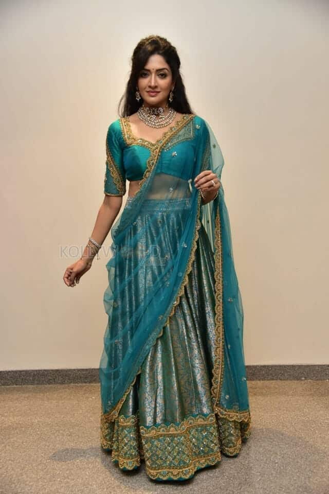 Actress Vimala Raman at Rudrangi Pre Release Event Photos 18