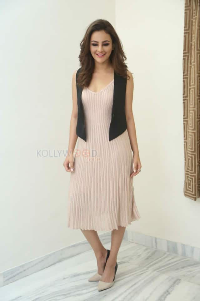 Film Actress Seerat Kapoor Photoshoot Photos 42