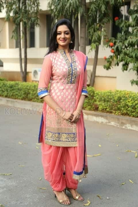 Mallu Actress Vimala Raman New Photos 13