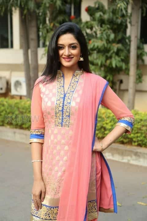 Mallu Actress Vimala Raman New Photos 19