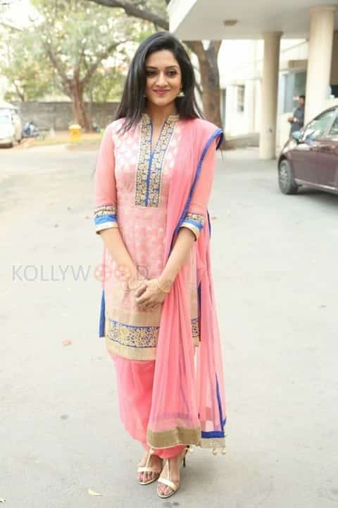 Mallu Actress Vimala Raman New Photos 28