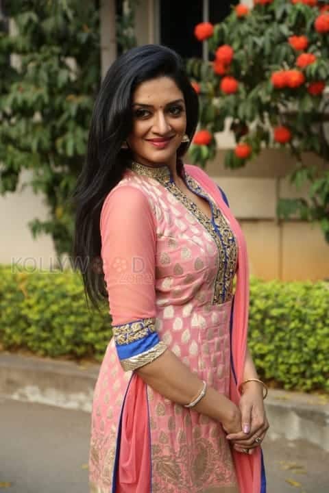 Mallu Actress Vimala Raman New Photos 31