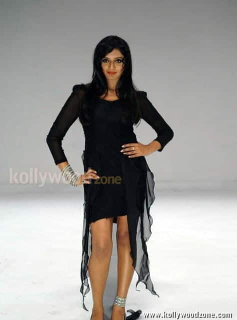 Mollywood Actress Vimala Raman Sexy Pictures 13