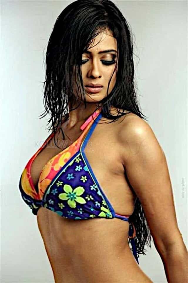 Stunning Beauty Shweta Tiwari Sexy Pictures 12