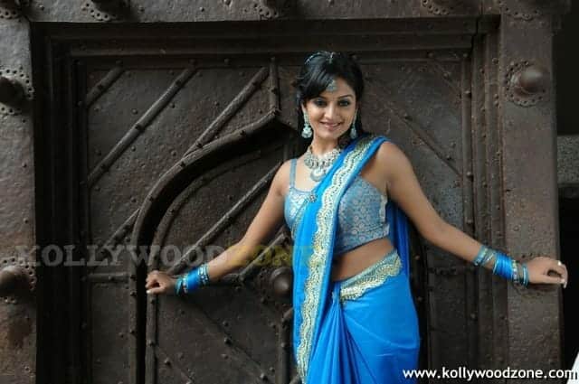 Vimala Raman Hot Stills 34