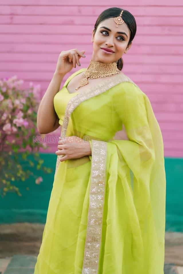 actress indhuja green saree photos 01