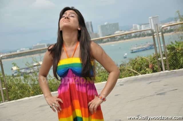Actress Aksha Photo Gallery 20