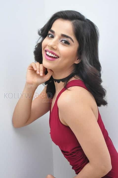 Actress Aparna Bajpai Photos 13