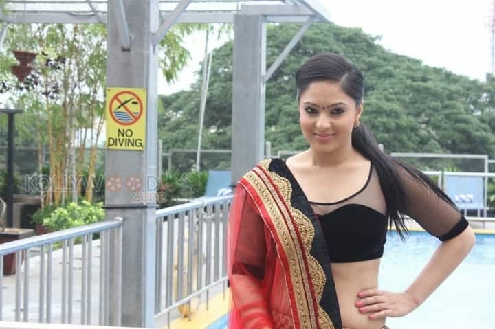 Actress Nikesha Patel At Karaioram Press Meet Pictures 10