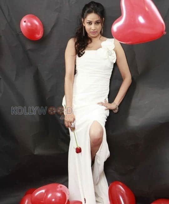 Actress Panchi Bora Sexy Photoshoot Photos 23