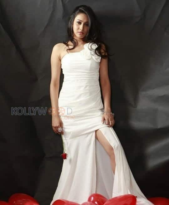 Actress Panchi Bora Sexy Photoshoot Photos 25