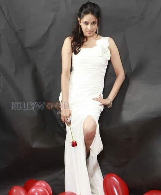 Actress Panchi Bora Sexy Photoshoot Photos 48