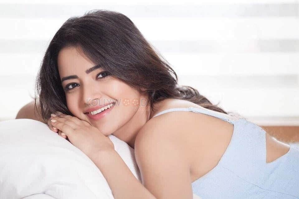 Actress Rukshar Mir Sexy Photos 03