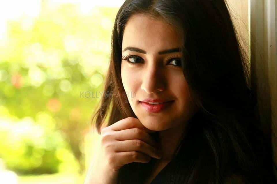 Actress Rukshar Mir Sexy Photos 04