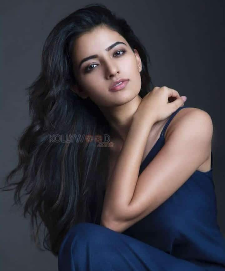 Actress Rukshar Mir Sexy Photos 14