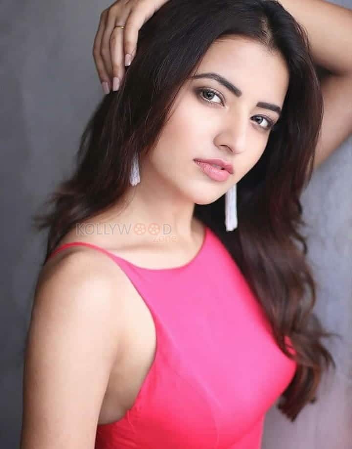 Actress Rukshar Mir Sexy Photos 16