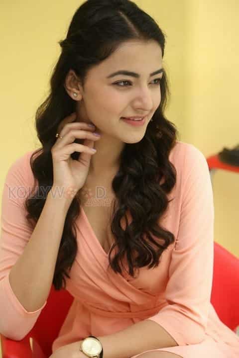 Beautiful Actress Rukshar Mir Photos 05