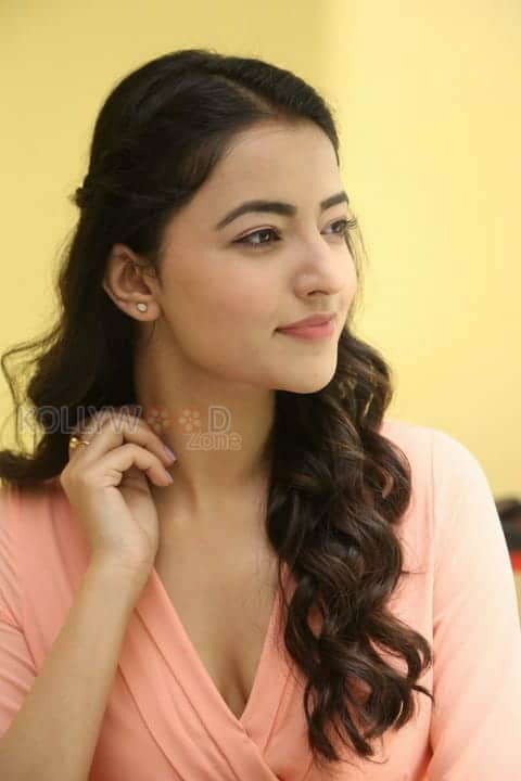 Beautiful Actress Rukshar Mir Photos 06