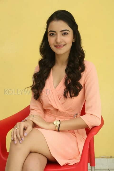 Beautiful Actress Rukshar Mir Photos 14