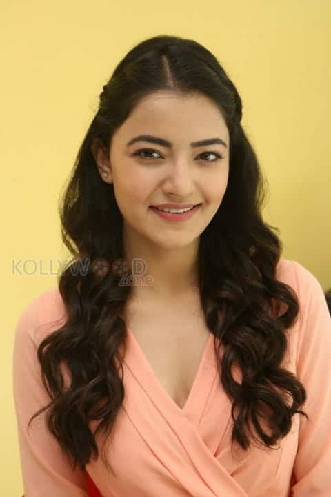 Beautiful Actress Rukshar Mir Photos 15