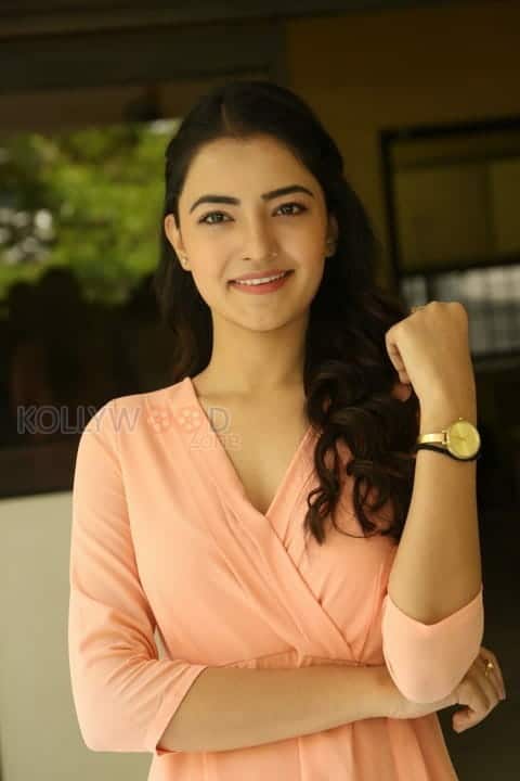 Beautiful Actress Rukshar Mir Photos 45