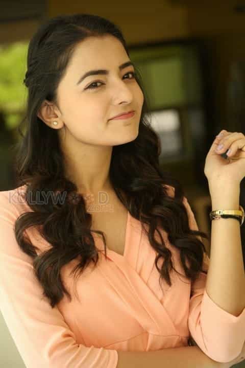 Beautiful Actress Rukshar Mir Photos 52